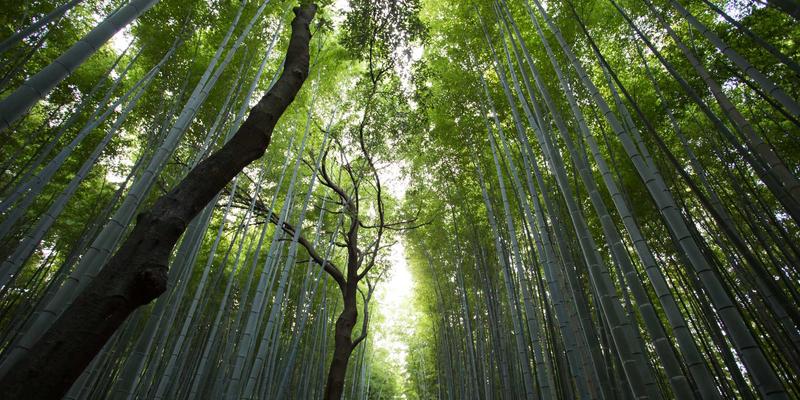 方案和竞品到底差在哪